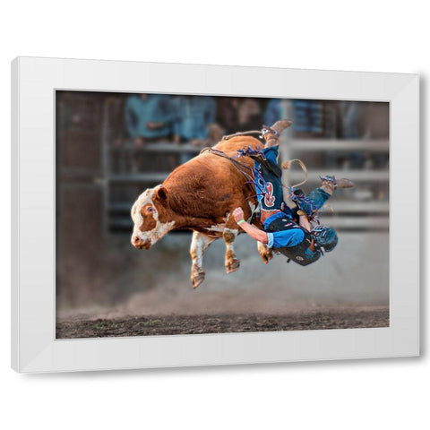 Bull Riding White Modern Wood Framed Art Print by Ma, Frank