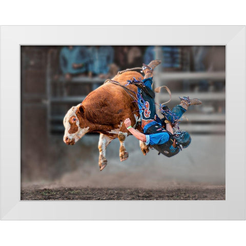 Bull Riding White Modern Wood Framed Art Print by Ma, Frank