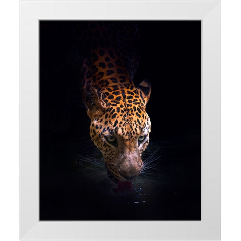 Drinking White Modern Wood Framed Art Print by Bunjamin (Abe), Antonyus