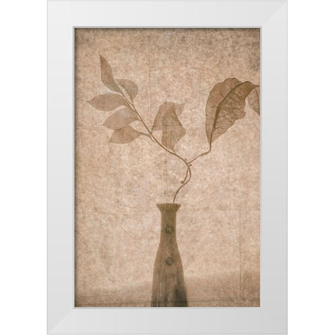 Still Life White Modern Wood Framed Art Print by Tokarev, Igor