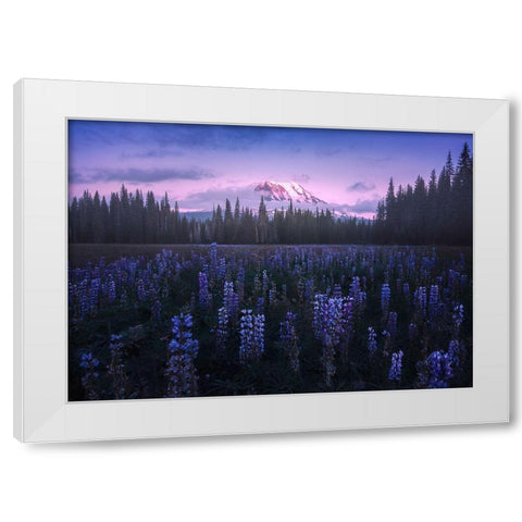 Adams Lupine White Modern Wood Framed Art Print by Bandyopadhyay, Atanu