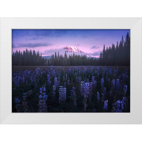 Adams Lupine White Modern Wood Framed Art Print by Bandyopadhyay, Atanu