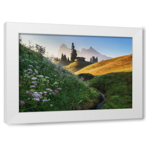 Flowery Morning White Modern Wood Framed Art Print by Krivec, Ales