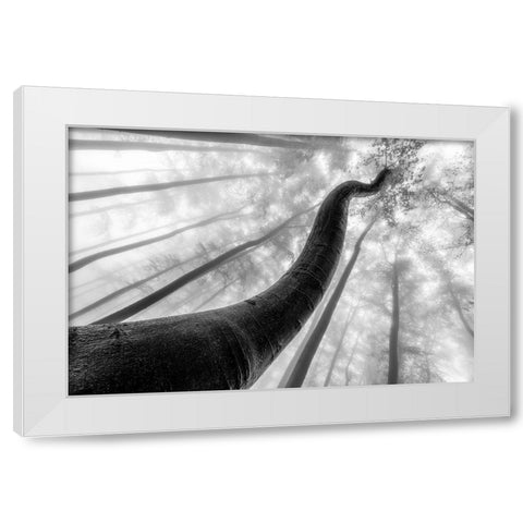 Tree Shapes White Modern Wood Framed Art Print by Pavlasek, Tom