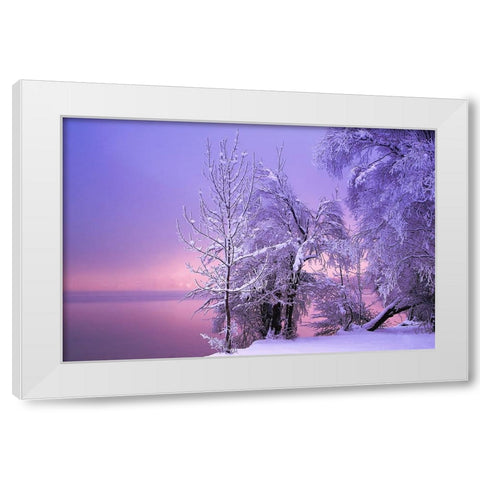 Stillness White Modern Wood Framed Art Print by Maier, Norbert