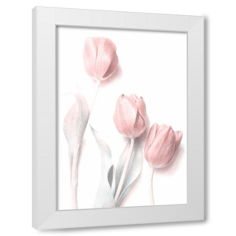 Sweet Pink White Modern Wood Framed Art Print by Devos, Delphine