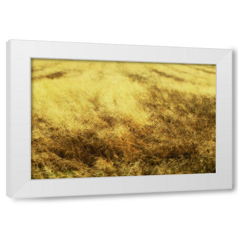 Golden Waves White Modern Wood Framed Art Print by Kravanja, Jure