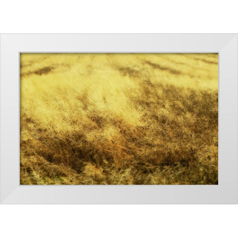 Golden Waves White Modern Wood Framed Art Print by Kravanja, Jure