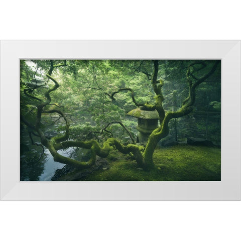 Japanese Tree White Modern Wood Framed Art Print by De La, Javier