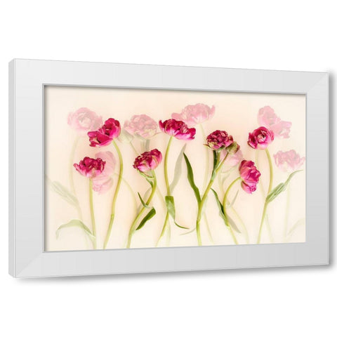 Tulips White Modern Wood Framed Art Print by Van Deelen, Ellen