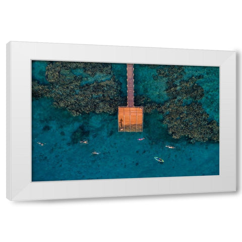 Coral Escape White Modern Wood Framed Art Print by Meirovich, Ido