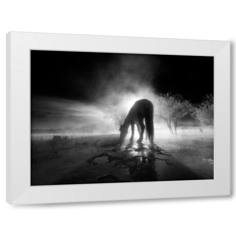The winter White Modern Wood Framed Art Print by Z, Bingo