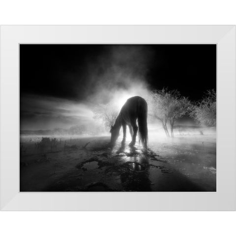 The winter White Modern Wood Framed Art Print by Z, Bingo