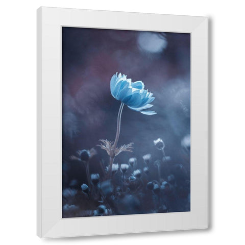 A Short Story Of Flower White Modern Wood Framed Art Print by Bravin, Fabien