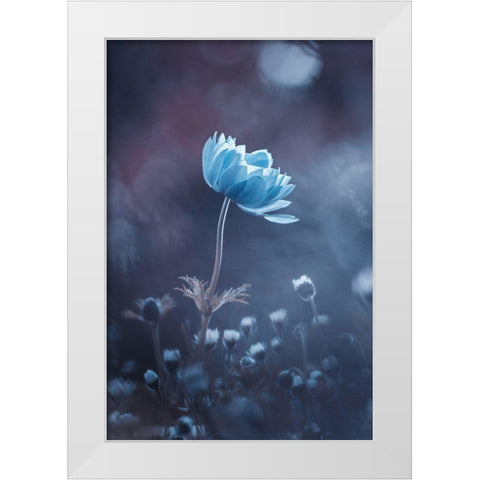 A Short Story Of Flower White Modern Wood Framed Art Print by Bravin, Fabien