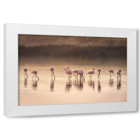 Photographic Ode To Monet White Modern Wood Framed Art Print by C. Sink, Jeffrey