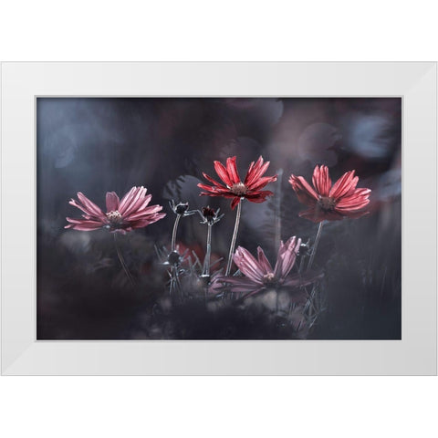 Les Fleurs Du Bien White Modern Wood Framed Art Print by Bravin, Fabien