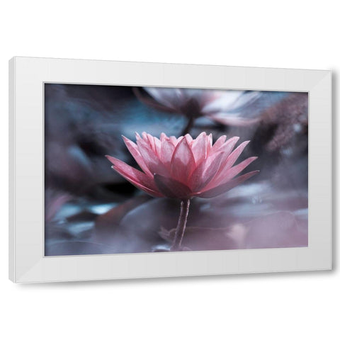 Silence White Modern Wood Framed Art Print by Bravin, Fabien