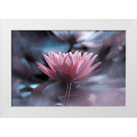 Silence White Modern Wood Framed Art Print by Bravin, Fabien