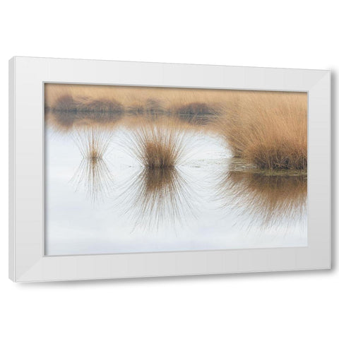 Piping Straw White Modern Wood Framed Art Print by Cornelis, Ann