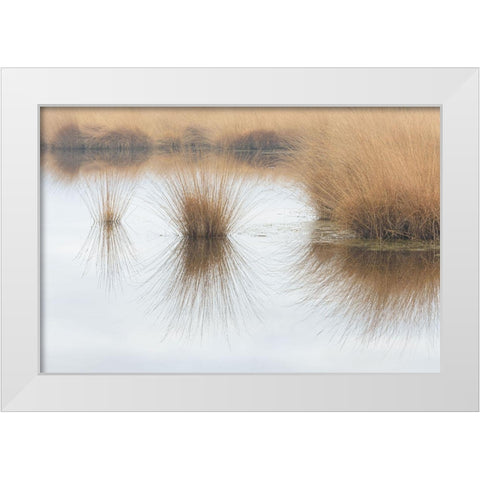 Piping Straw White Modern Wood Framed Art Print by Cornelis, Ann