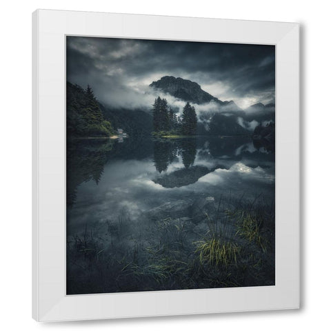 Bliss White Modern Wood Framed Art Print by De Franzoni, Thomas