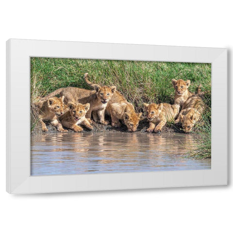 Putting The Band Back Together.... White Modern Wood Framed Art Print by C. Sink, Jeffrey