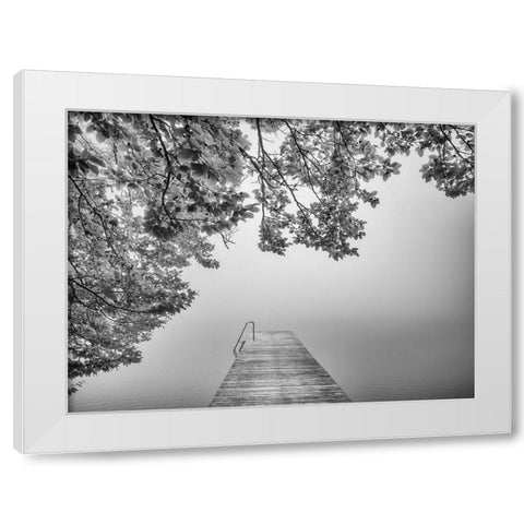 The Sound Of Silence White Modern Wood Framed Art Print by Lisa Roeder, Margit