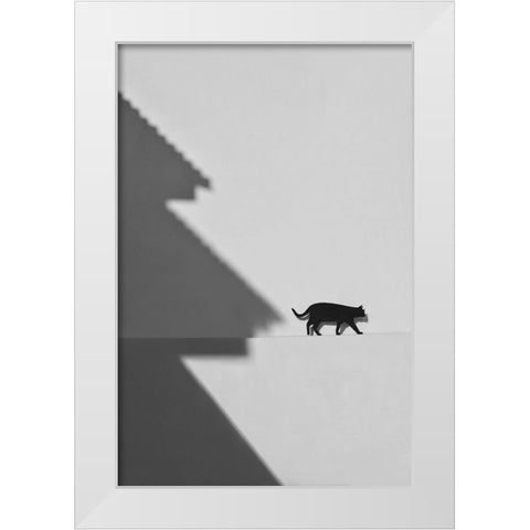 Black Cat White Modern Wood Framed Art Print by Joseph, Florentinus