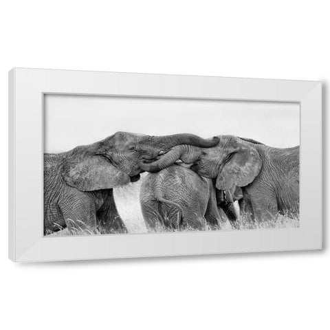 Elephant Playing White Modern Wood Framed Art Print by Zuo, Jun