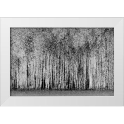 Impenetrable Forest White Modern Wood Framed Art Print by Schleicher-Schwarz, Roswitha