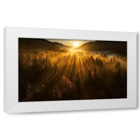 Aerial Shot Of An Autumn Forest White Modern Wood Framed Art Print by Krivec, Ales