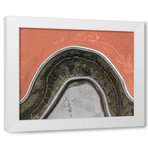 Topographic Projection White Modern Wood Framed Art Print by Eliash, Tomer