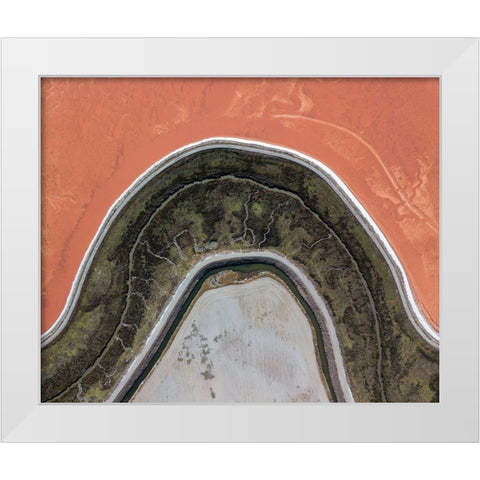 Topographic Projection White Modern Wood Framed Art Print by Eliash, Tomer