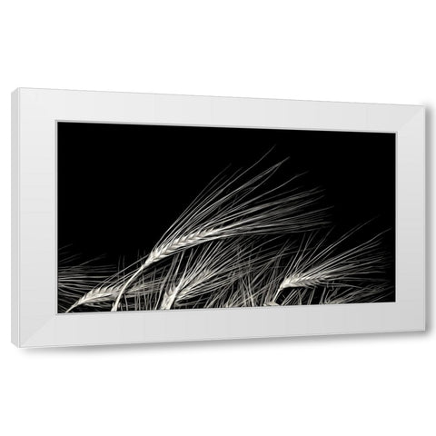 Grain Of Life White Modern Wood Framed Art Print by Claes, Gilbert