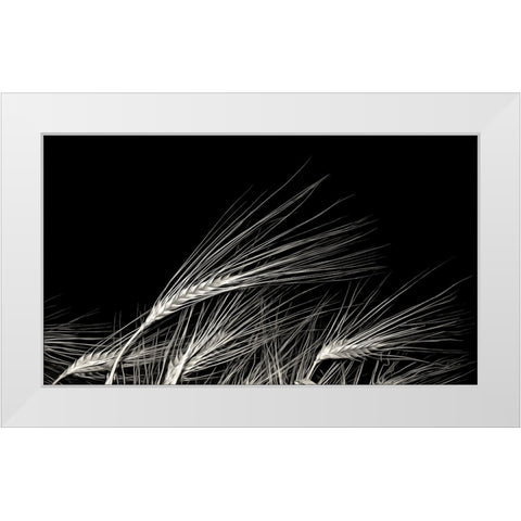 Grain Of Life White Modern Wood Framed Art Print by Claes, Gilbert