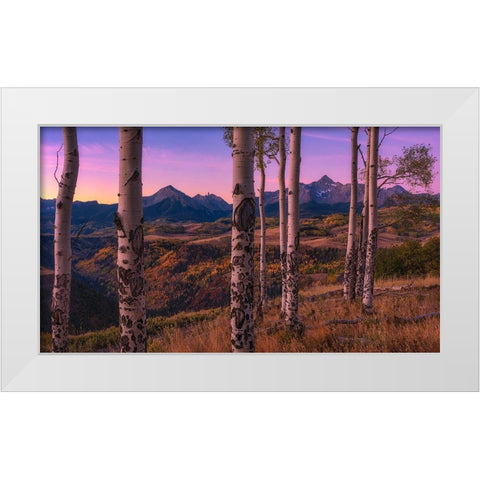 Aspen Frames White Modern Wood Framed Art Print by Xu, Mei