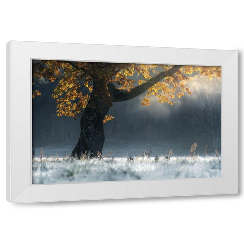 Morning Breath White Modern Wood Framed Art Print by Saowanee, Suntararak