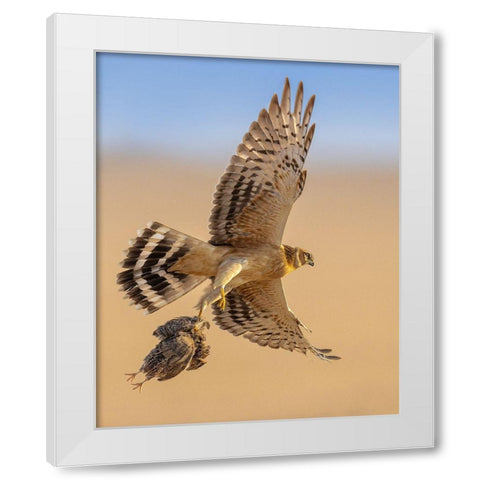 Untitled White Modern Wood Framed Art Print by Sobhi, Ahmed