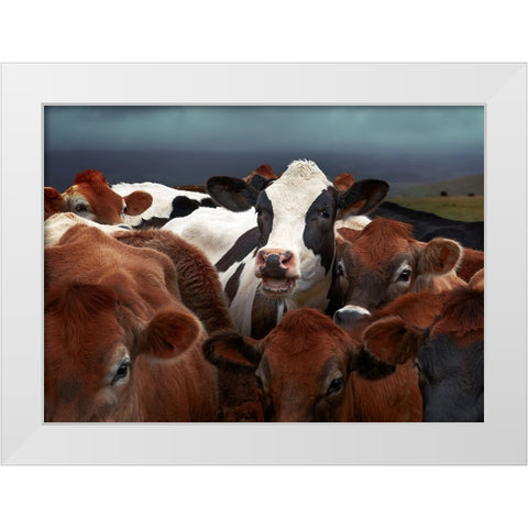 Laughing Cow White Modern Wood Framed Art Print by Perlow, Gary