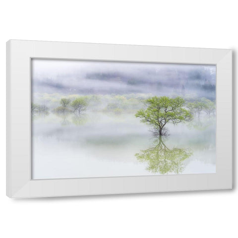 Dreamy Tree White Modern Wood Framed Art Print by Saowanee, Suntararak