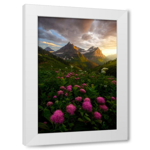 As It Fades White Modern Wood Framed Art Print by Dyar, Ryan
