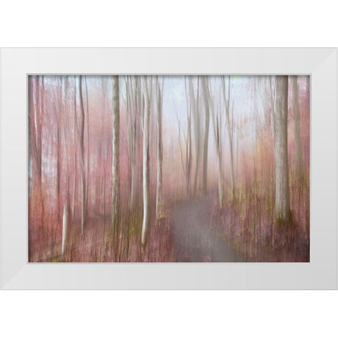 Soft Autumn White Modern Wood Framed Art Print by Sillen, Christina
