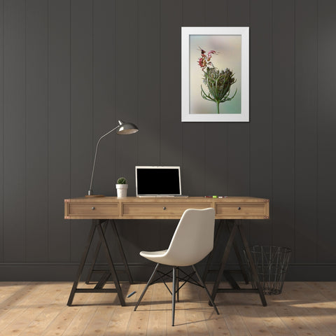 Flower Mantis White Modern Wood Framed Art Print by Hoffman, Jimmy