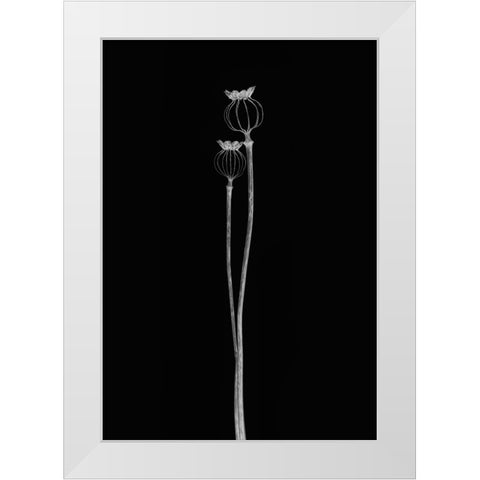 Poppy Pods White Modern Wood Framed Art Print by Gronkjar, Lotte