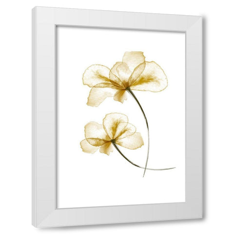 Pressed Flowers White Modern Wood Framed Art Print by 1x Studio II