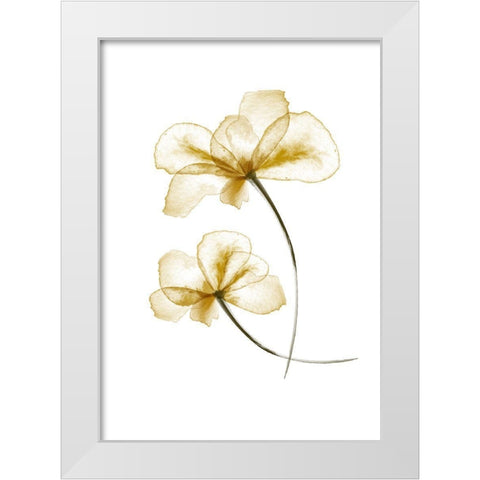 Pressed Flowers White Modern Wood Framed Art Print by 1x Studio II