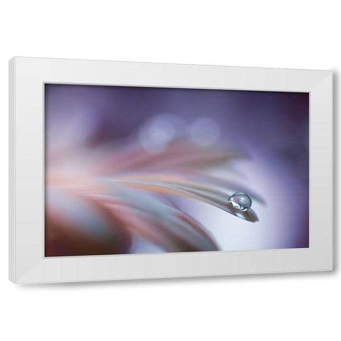 Sound Of Soul White Modern Wood Framed Art Print by Barbieri, Rina