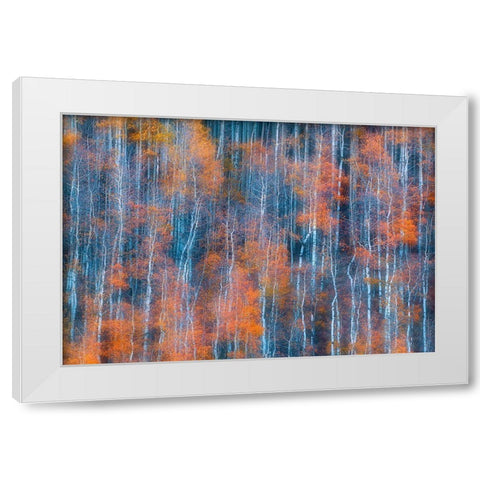 Autumn Abstract White Modern Wood Framed Art Print by Xu, Mei