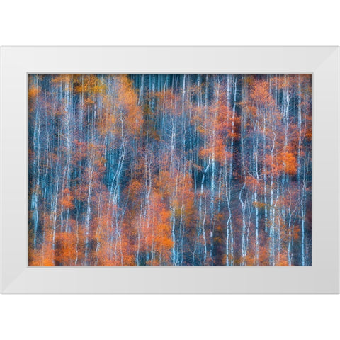 Autumn Abstract White Modern Wood Framed Art Print by Xu, Mei
